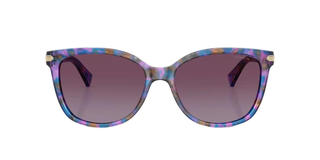 Coach HC8132