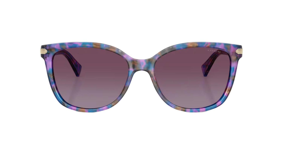 Coach HC8132