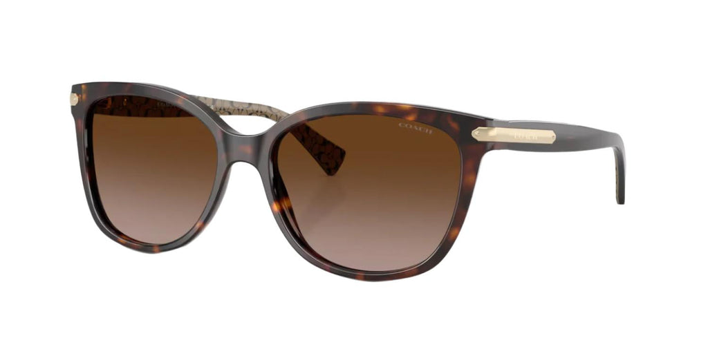 Coach HC8132