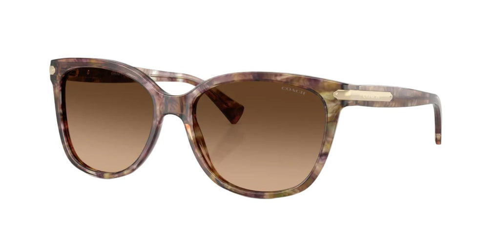 Coach HC8132