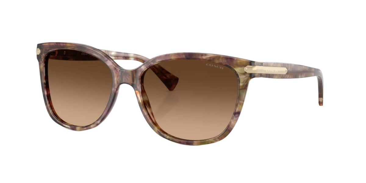 Coach HC8132