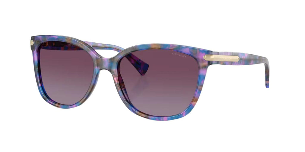 Coach HC8132