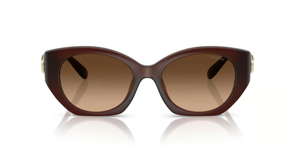 Coach HC8407U