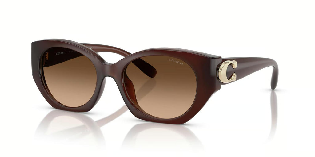 Coach HC8407U