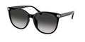Coach HC8414BD
