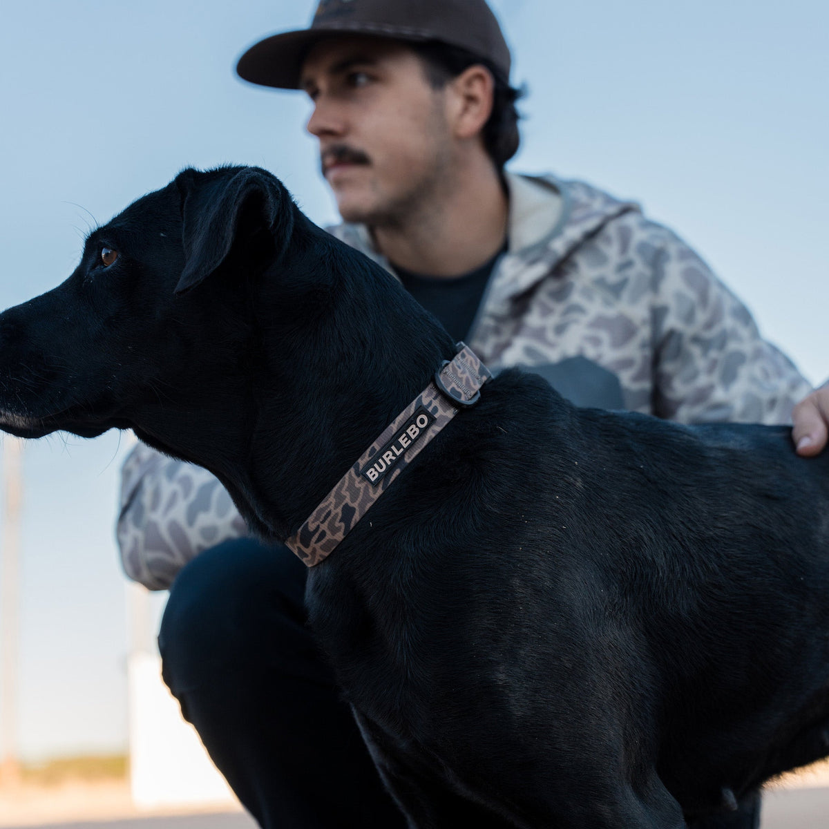 Dog Collar - Gauge Camo