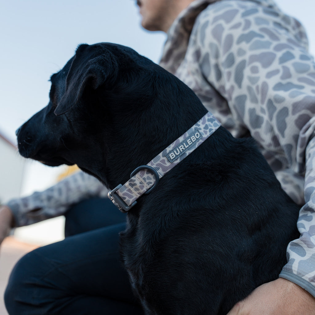 Dog Collar - Classic Deer Camo