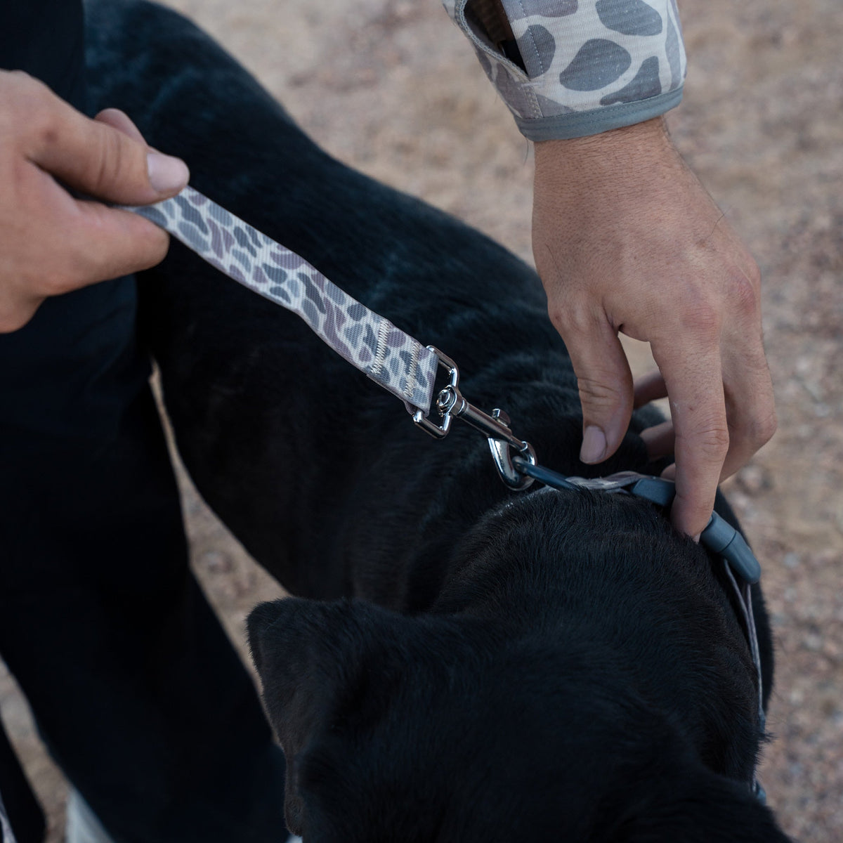 Dog Leash - Classic Deer Camo
