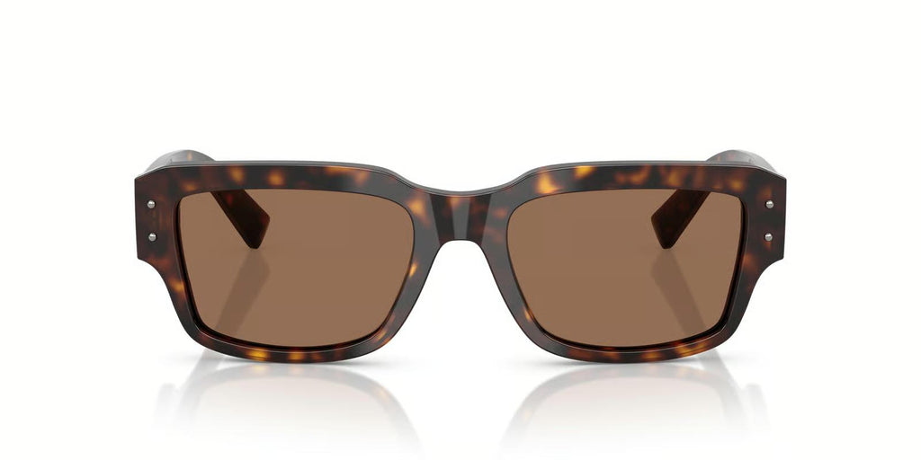 Dolce & Gabbana DG4483