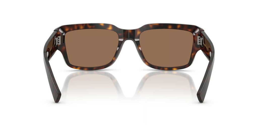 Dolce & Gabbana DG4483