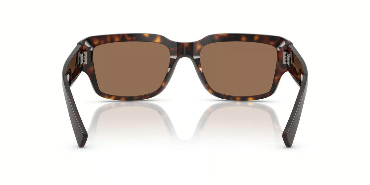 Dolce & Gabbana DG4483