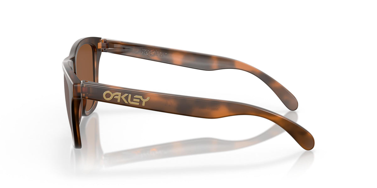 Oakley Frogskins OO9013