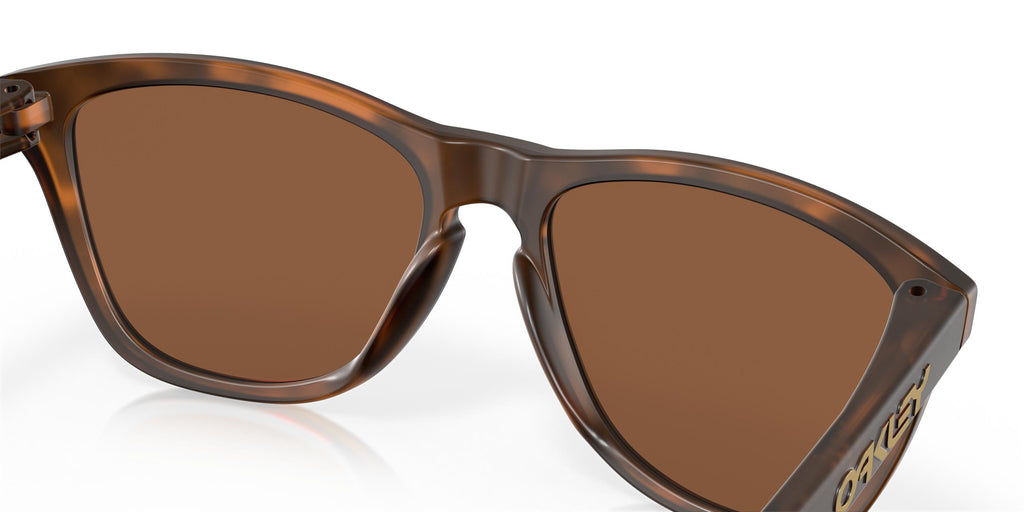 Oakley Frogskins OO9013