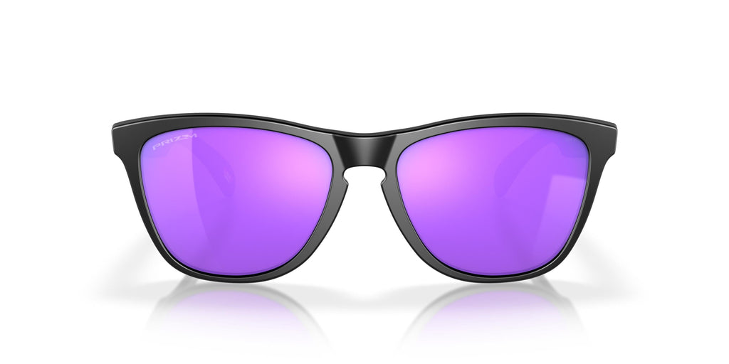 Oakley Frogskins OO9013