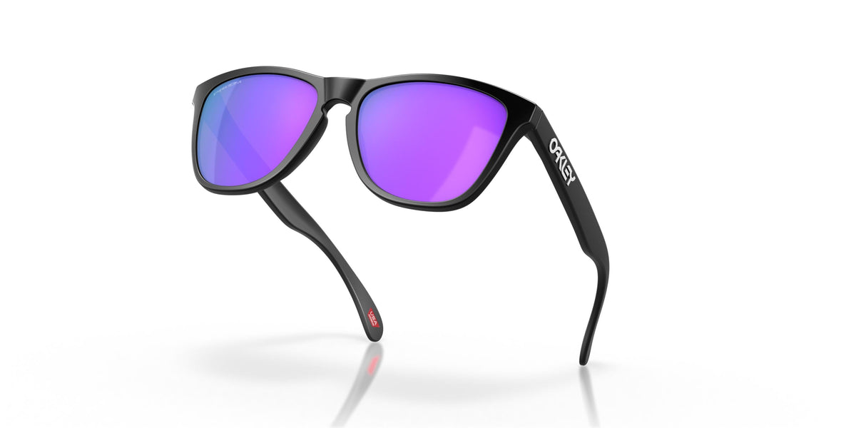 Oakley Frogskins OO9013