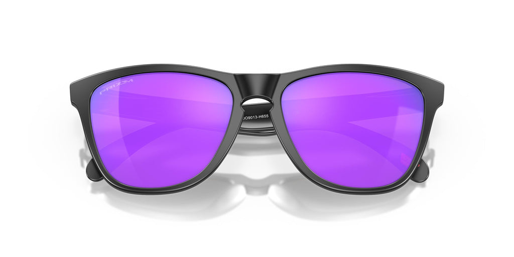 Oakley Frogskins OO9013