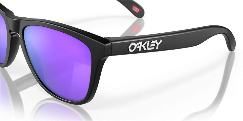 Oakley Frogskins OO9013