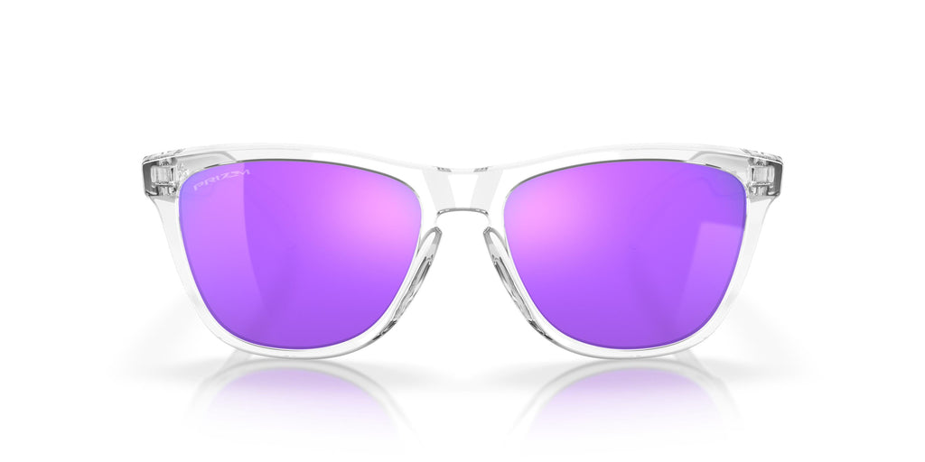 Oakley Frogskins OO9013