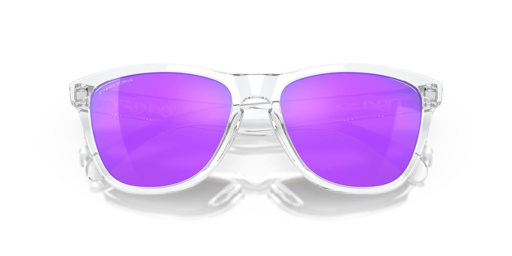 Oakley Frogskins OO9013