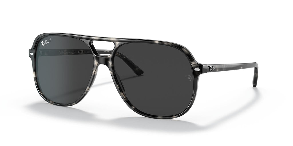 Ray-Ban Bill RB2198
