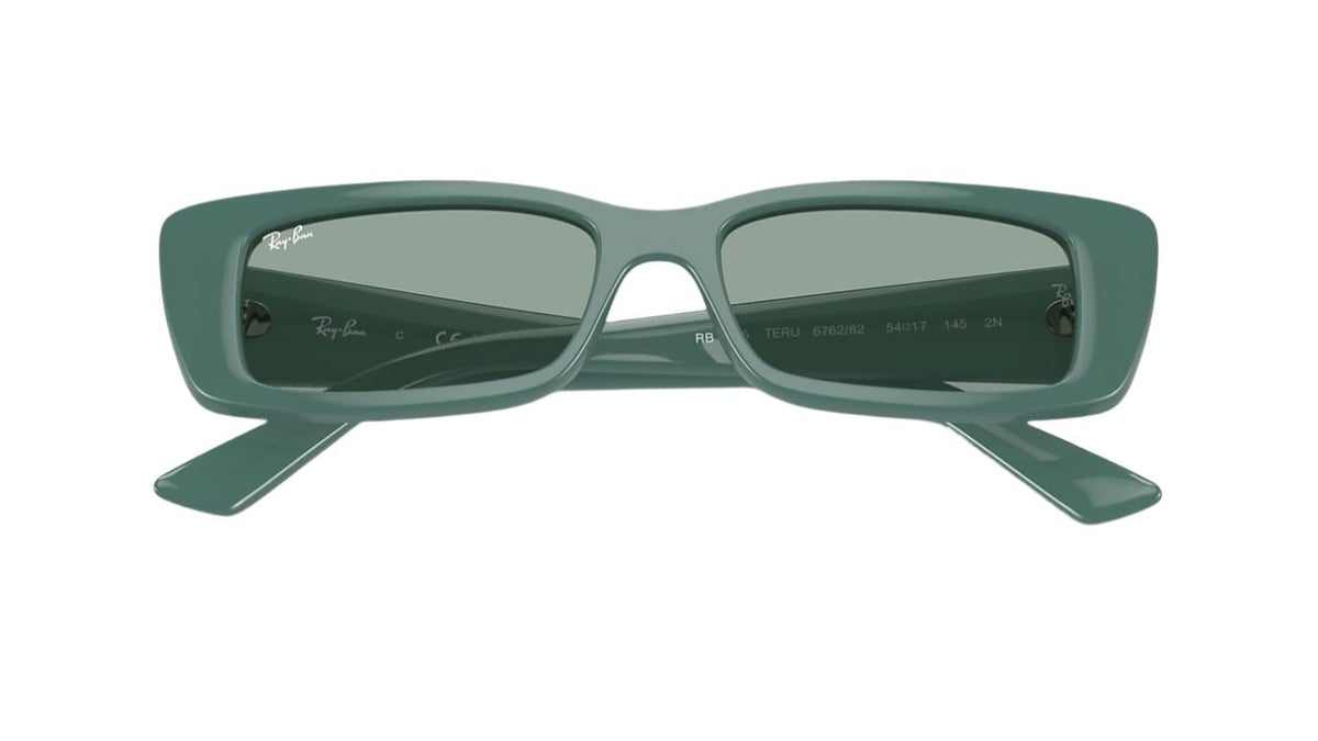 Ray-Ban Teru RB4425