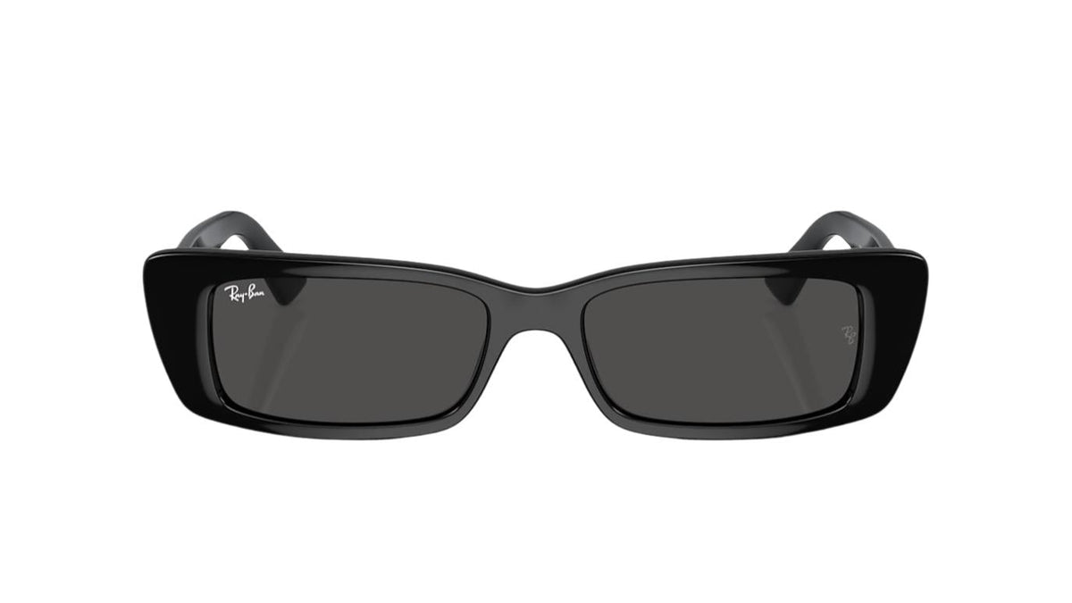 Ray-Ban Teru RB4425