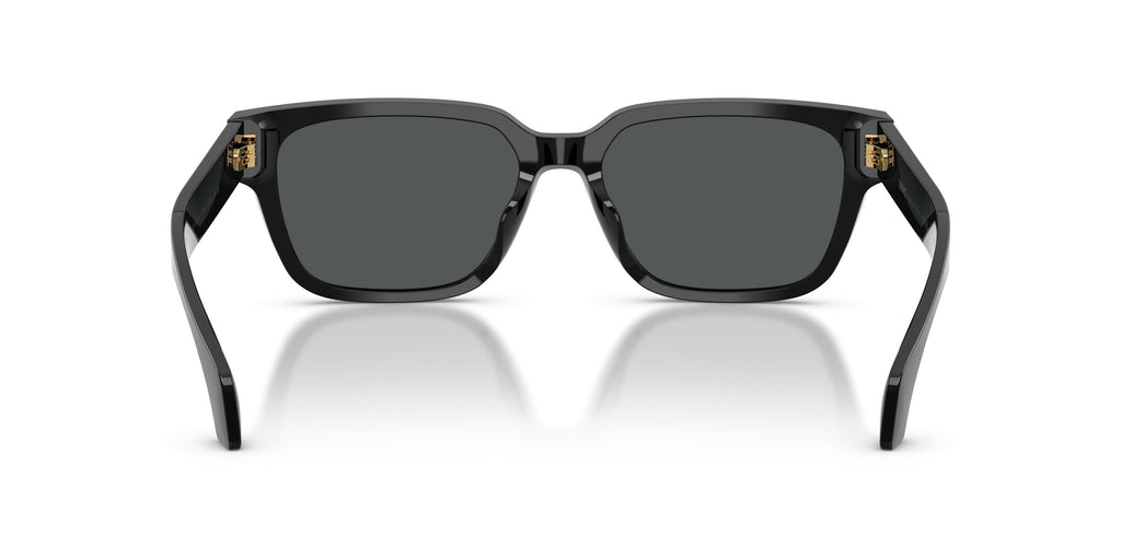 Versace VE4513D