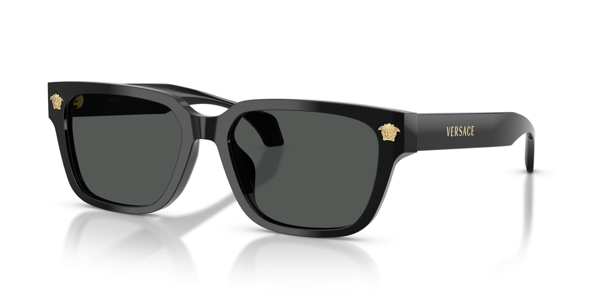 Versace VE4513D