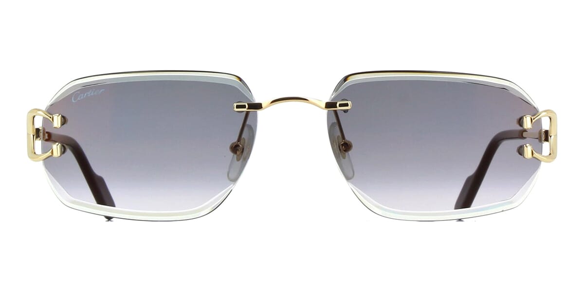 Cartier CT0468S 001 - As Seen On Martin Lawrence & Keith Lee