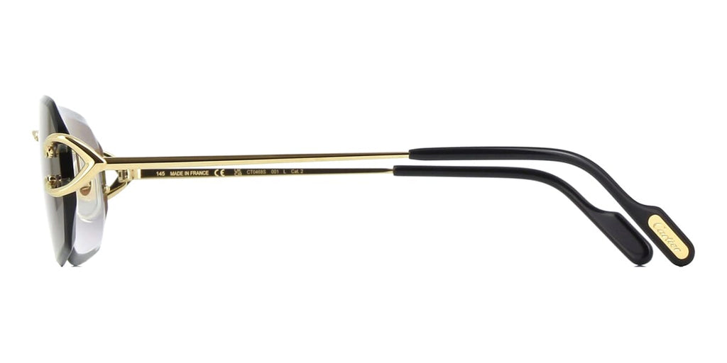 Cartier CT0468S 001 - As Seen On Martin Lawrence & Keith Lee