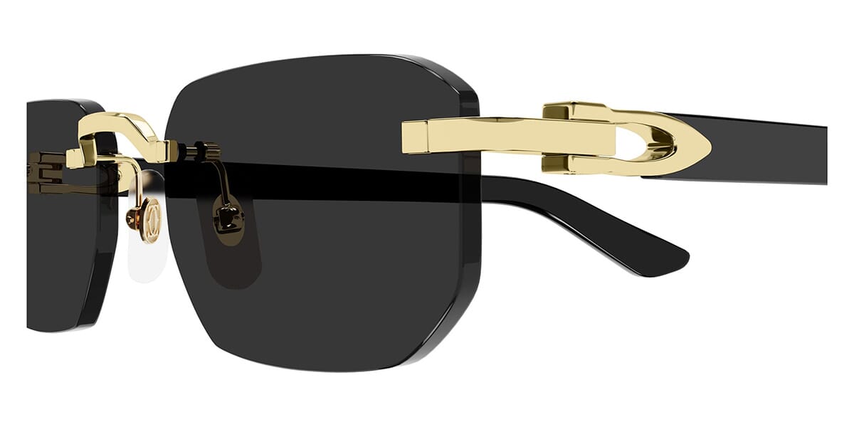 Cartier CT0622S 001