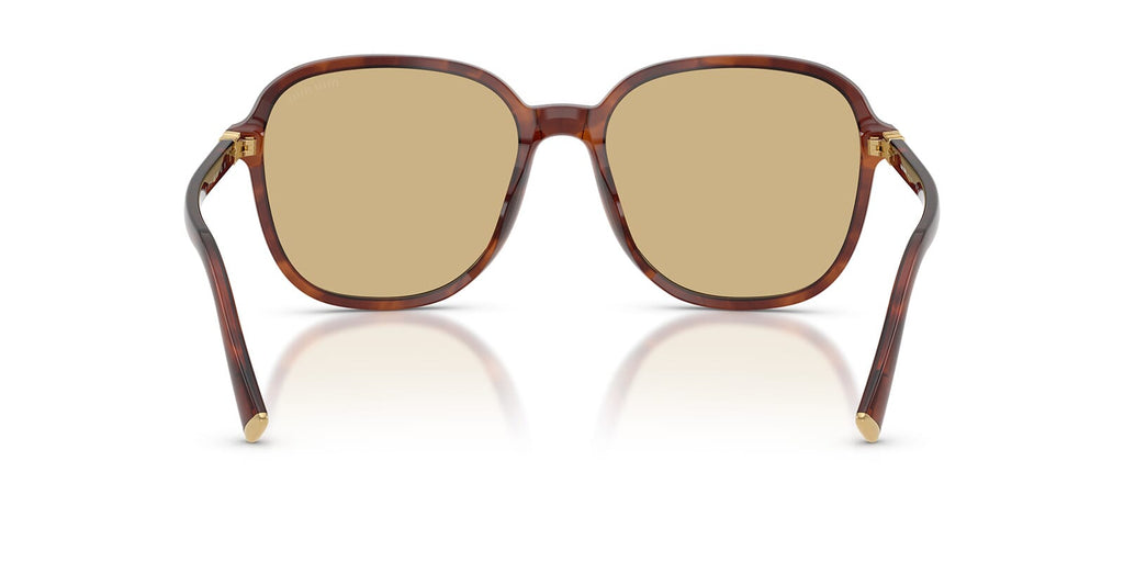 Miu Miu MU B01S 26E10R - As Seen On Kylie Jenner & Barbara Palvin