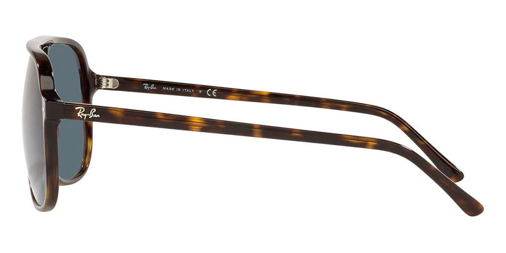 Ray-Ban Bill RB 2198 902/R5