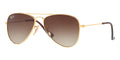 Ray-Ban Kids Aviator RJ 9506S 223/13 Childs Frame
