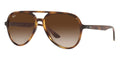 Ray-Ban RB 4376 710/13 - As Seen On Ryan Murphy & Asia Argento