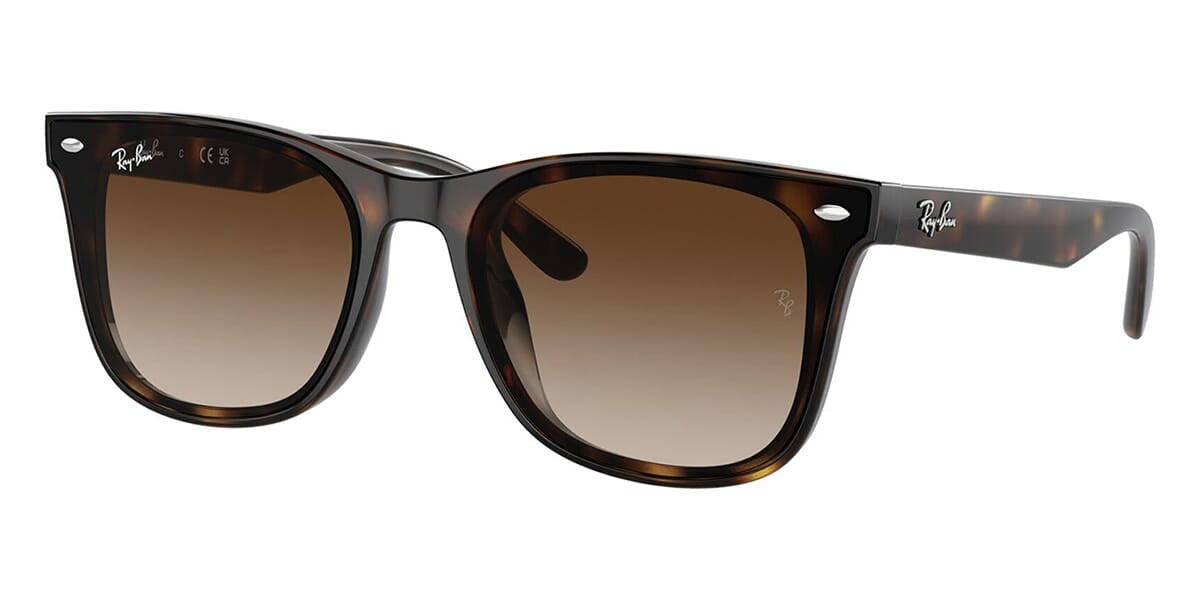 Ray-Ban RB 4420 710/13