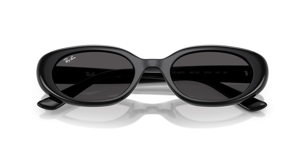 Ray-Ban RB 4441D 6677/87 - As Seen On Gracie Abrams & Peggy Gou