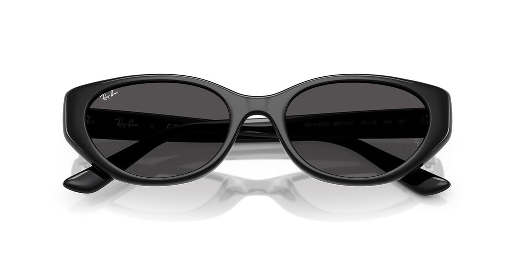 Ray-Ban RB 4457D 6677/87 - As Seen On Lewis Hamilton & Gabrielle Union