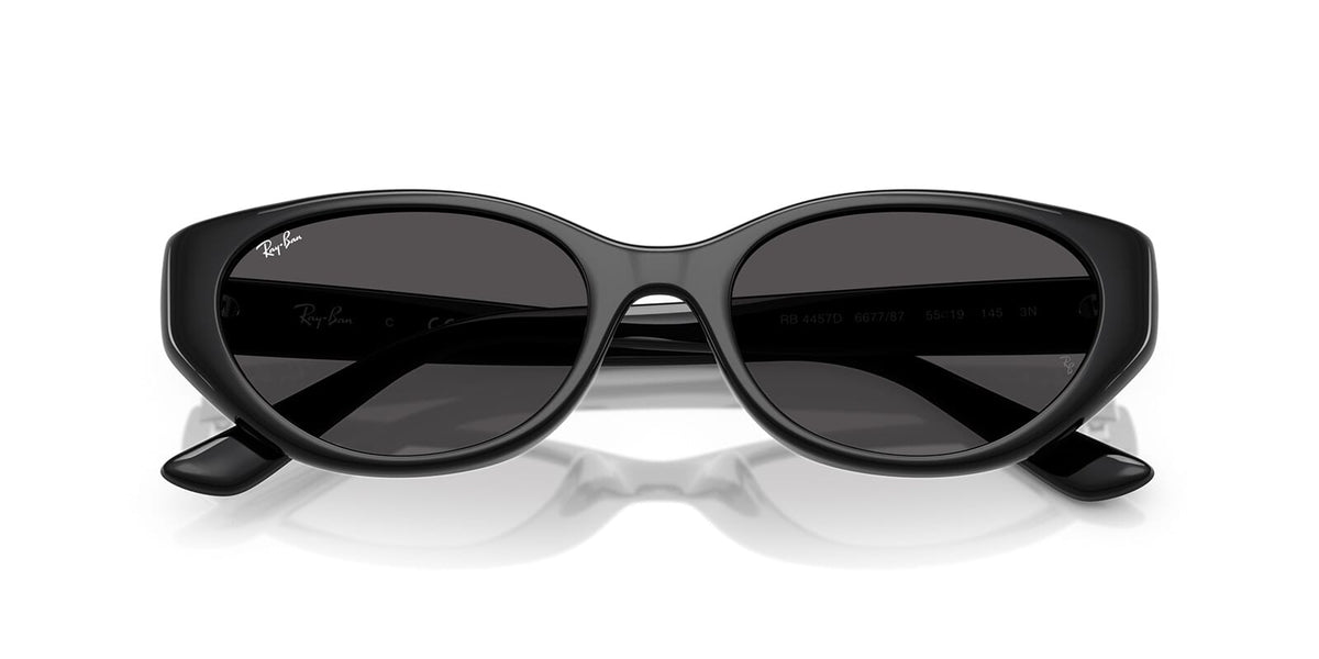 Ray-Ban RB 4457D 6677/87 - As Seen On Lewis Hamilton & Gabrielle Union