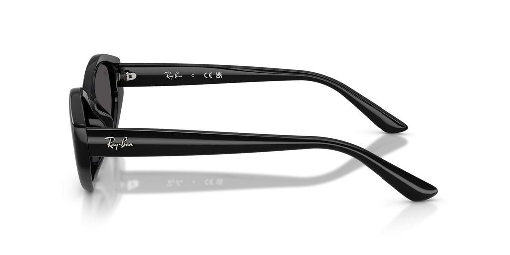 Ray-Ban RB 4473D 6677/87