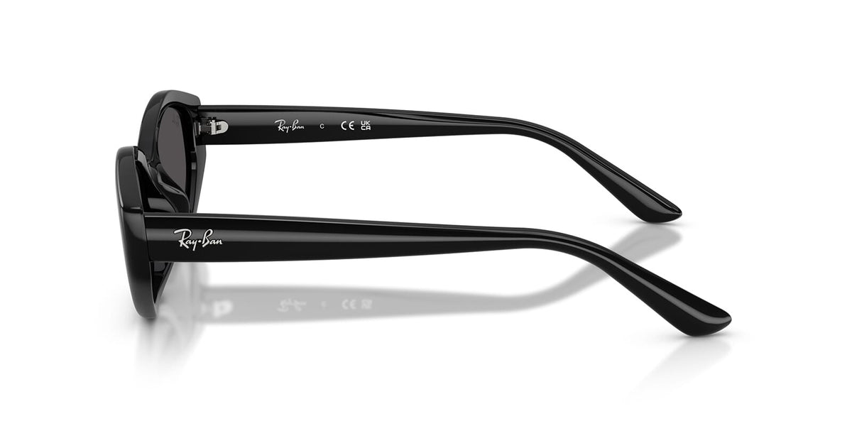 Ray-Ban RB 4473D 6677/87