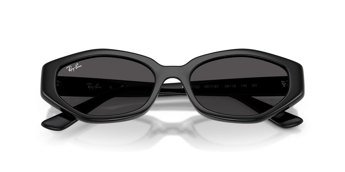 Ray-Ban RB 4473D 6677/87