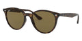 Ray-Ban RB 4305 710/73